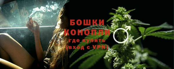 ГАЛЛЮЦИНОГЕННЫЕ ГРИБЫ Осташков