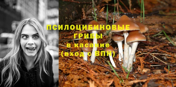 COCAINE Алзамай