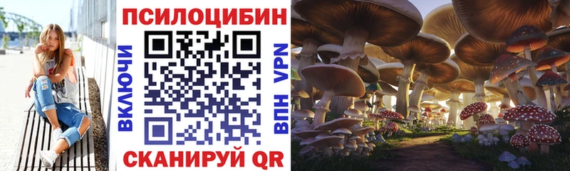 дарк нет состав где продают Сосенский Псилоцибиновые грибы Psilocybe
